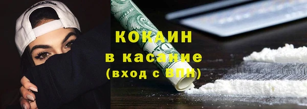 PSILOCYBIN Алзамай