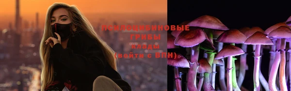 экстази Алексин