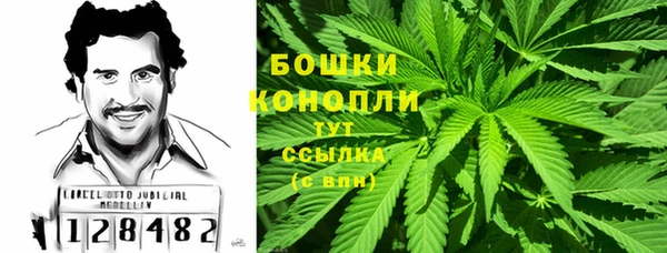 apvp Аркадак