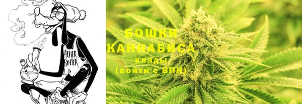 apvp Аркадак