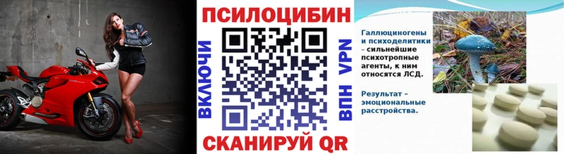 Галлюциногенные грибы ЛСД  blacksprut маркетплейс  Курган 