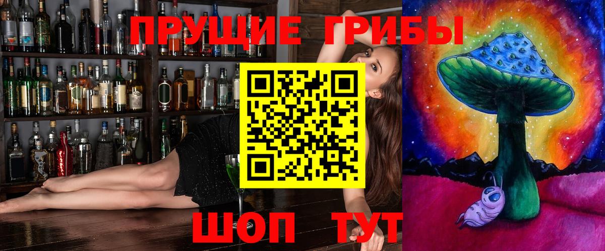 Псилоцибиновые грибы Cubensis Курган