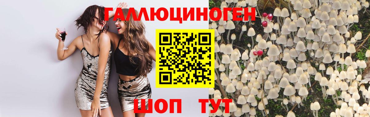 Курган  Галлюциногенные грибы Psilocybine cubensis  Вход с VPN  Галлюциногенные грибы Psilocybe 