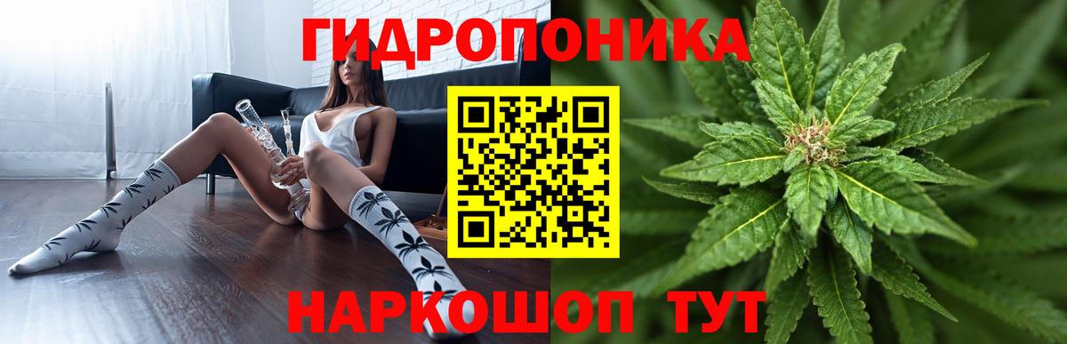 МАРИХУАНА Bruce Banner  Марихуана марихуана  Бошки Шишки планчик  Вход с VPN  Курган 